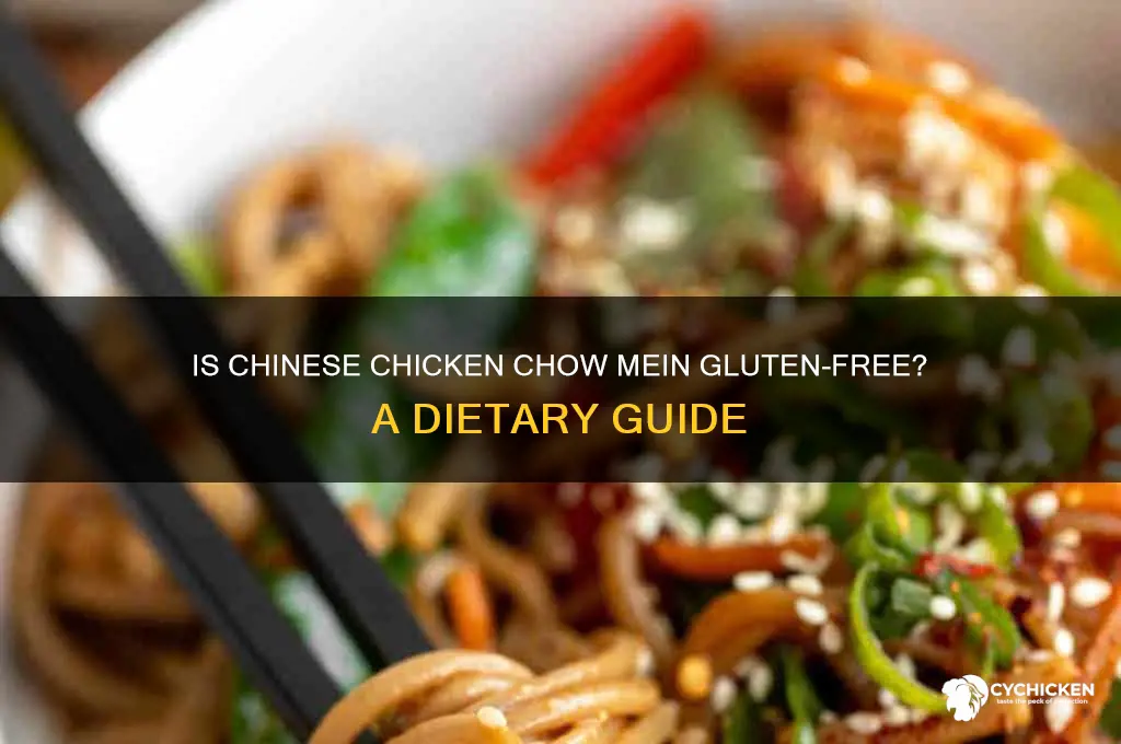 is chinese chicken chow mein gluten free