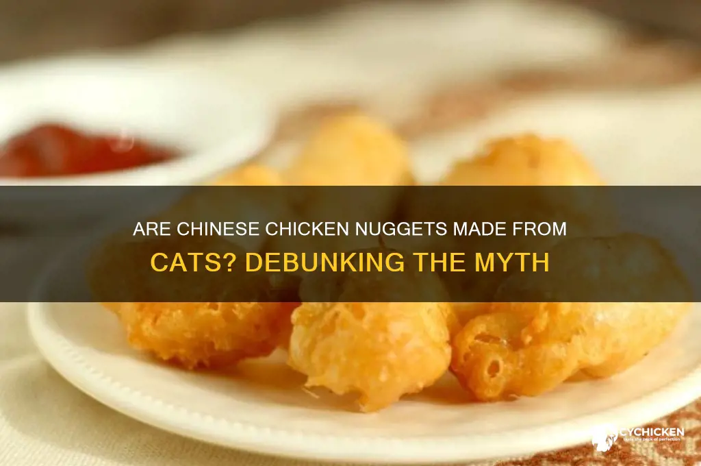 is chinese chicken nuggets cat