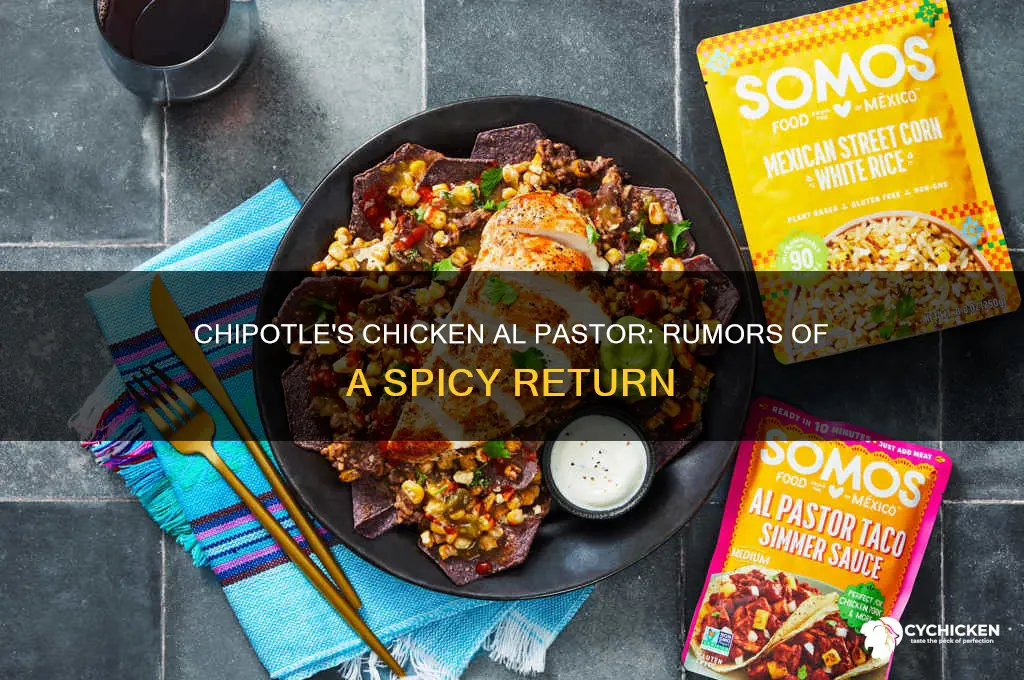 is chipotle bringing back chicken al pastor