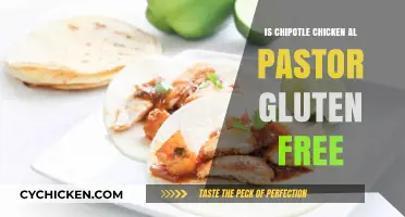 Chipotle Chicken Al Pastor: Gluten-Free or Not? A Guide