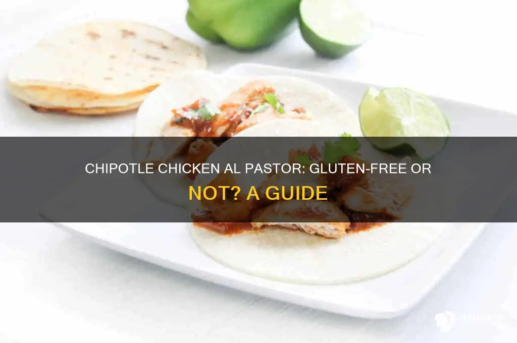 is chipotle chicken al pastor gluten free