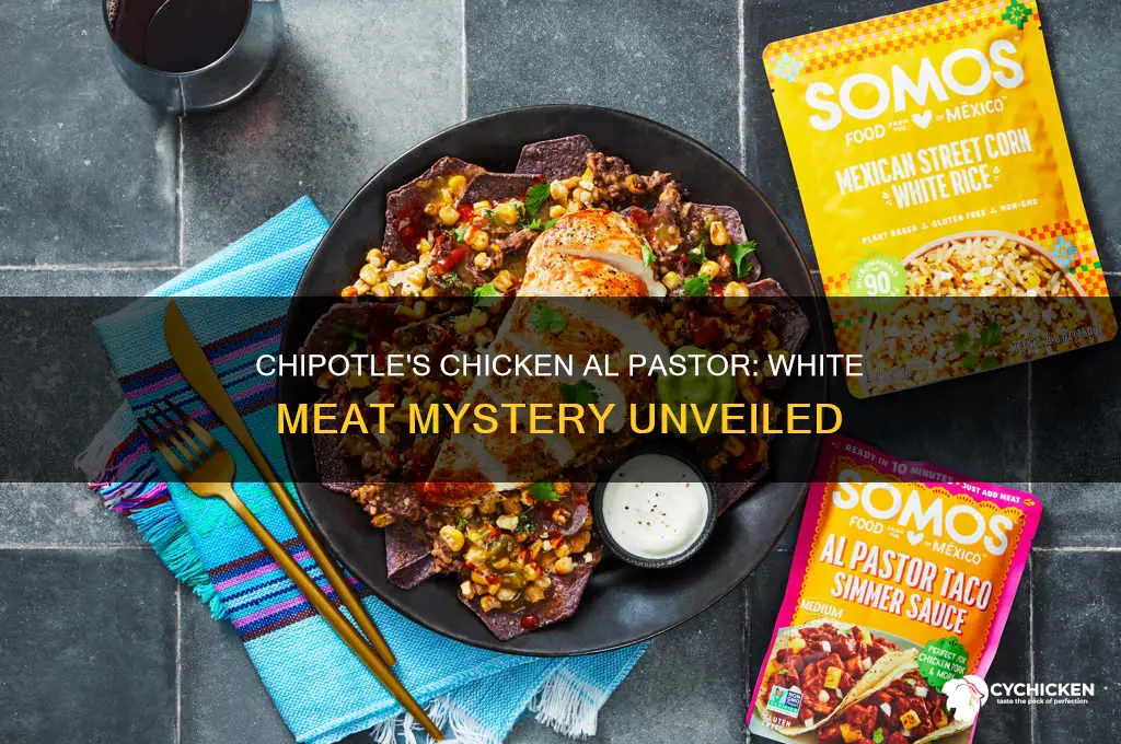 is chipotle chicken al pastor white meat
