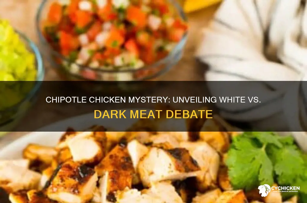 is chipotle chicken white or dark meat
