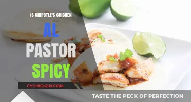 Is Chipotle's Chicken Al Pastor Spicy? A Flavorful Review