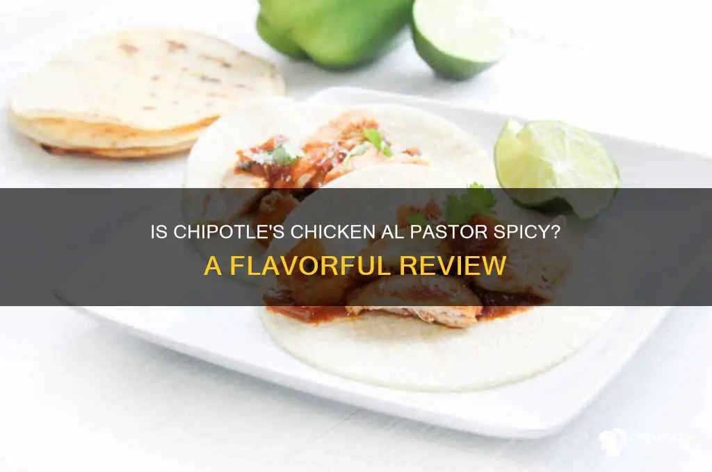 is chipotle