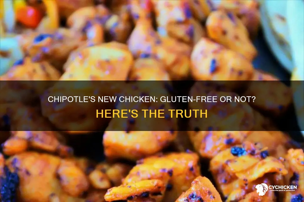 is chipotle