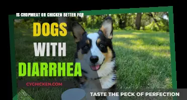 Meat Selection for Dogs With Diarrhea