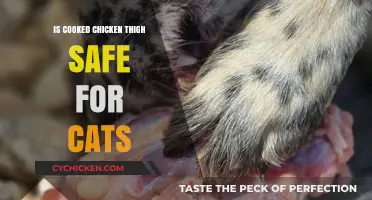 Can Cats Eat Cooked Chicken Thigh? Safety Tips and Advice