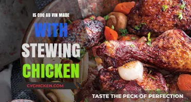 Coq au Vin: Stewing Chicken or Not? A Culinary Debate