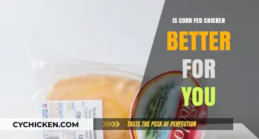 Corn-Fed Chicken: Healthier Choice or Marketing Myth?
