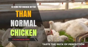 Corn-Fed vs. Regular Chicken: Which is Healthier and Tastier?