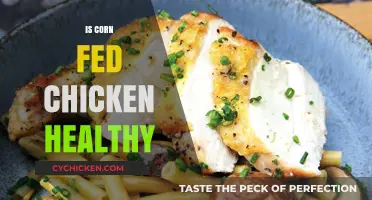 Decoding the Health Benefits of Corn-Fed Chicken: A Nutritional Guide