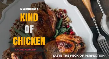 Is Cornish Hen a Chicken? Unraveling the Poultry Puzzle
