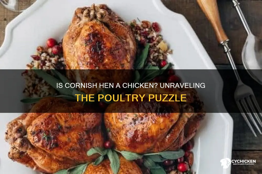 is cornish hen a kind of chicken