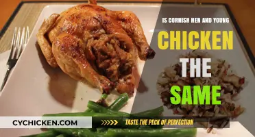 Cornish Hen vs. Young Chicken: Understanding the Key Differences