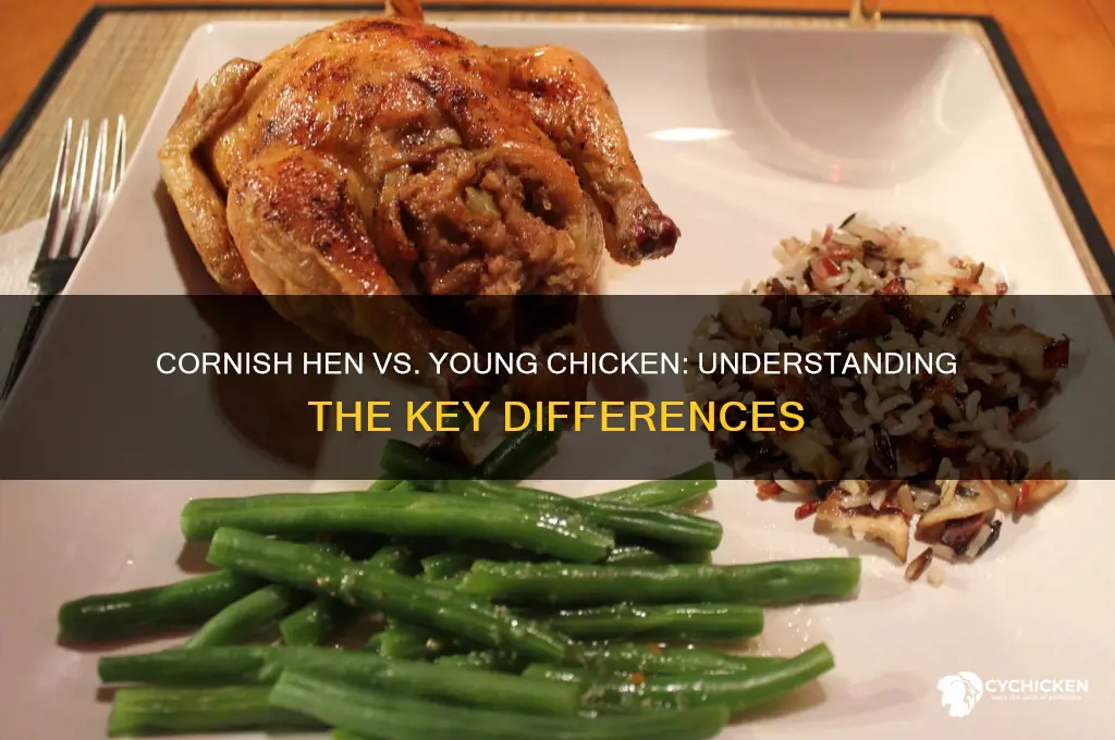 is cornish hen and young chicken the same