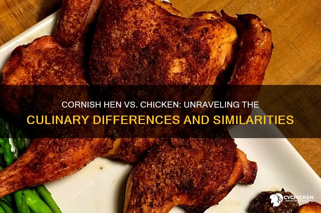 is cornish hen the same as chicken