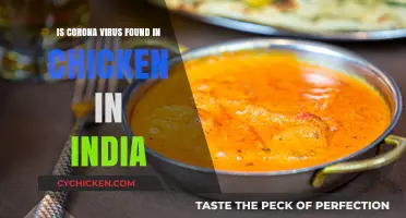 Is Coronavirus Present in Indian Chicken? Separating Fact from Fiction
