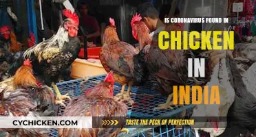 Is Coronavirus in Indian Chicken? Separating Fact from Fiction