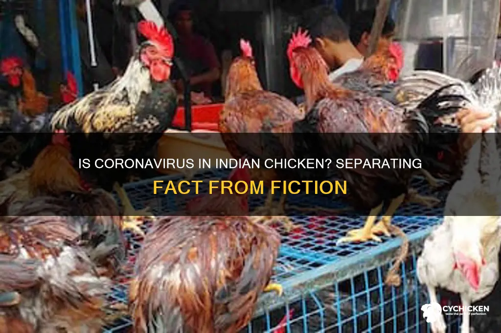 is coronavirus found in chicken in india