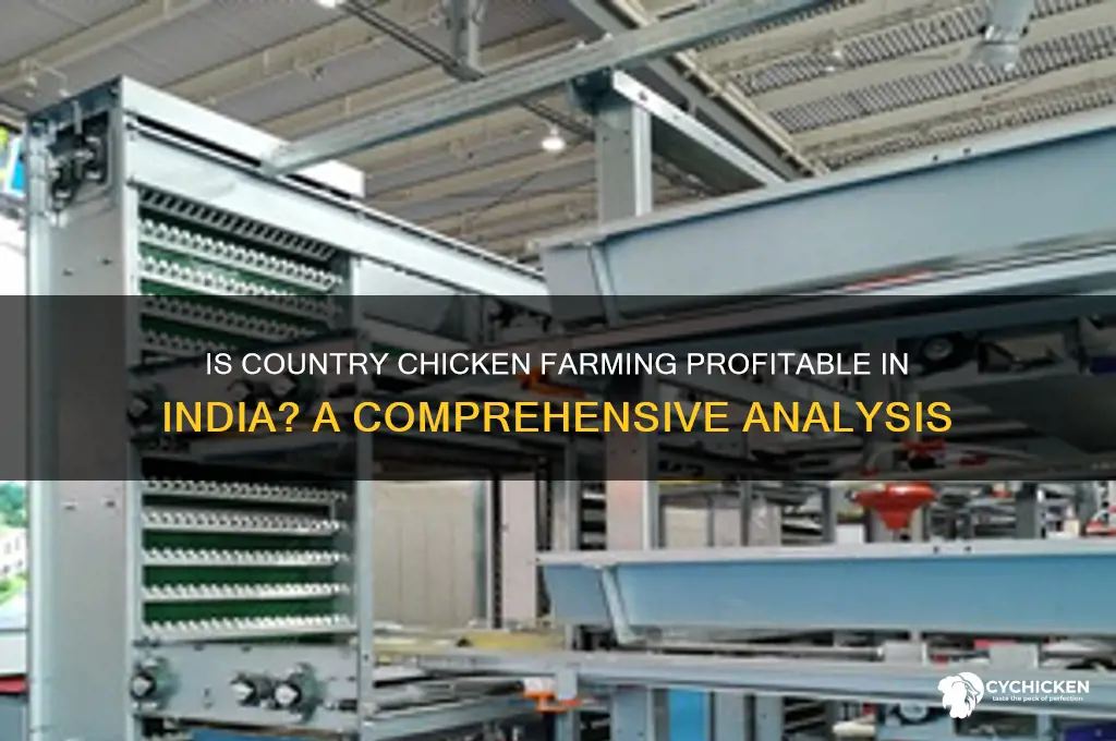 is country chicken farming profitable in india