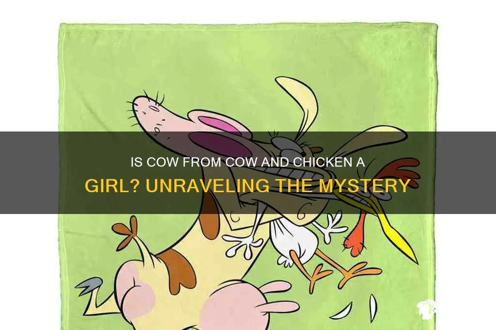 is cow from cow and chicken a girl