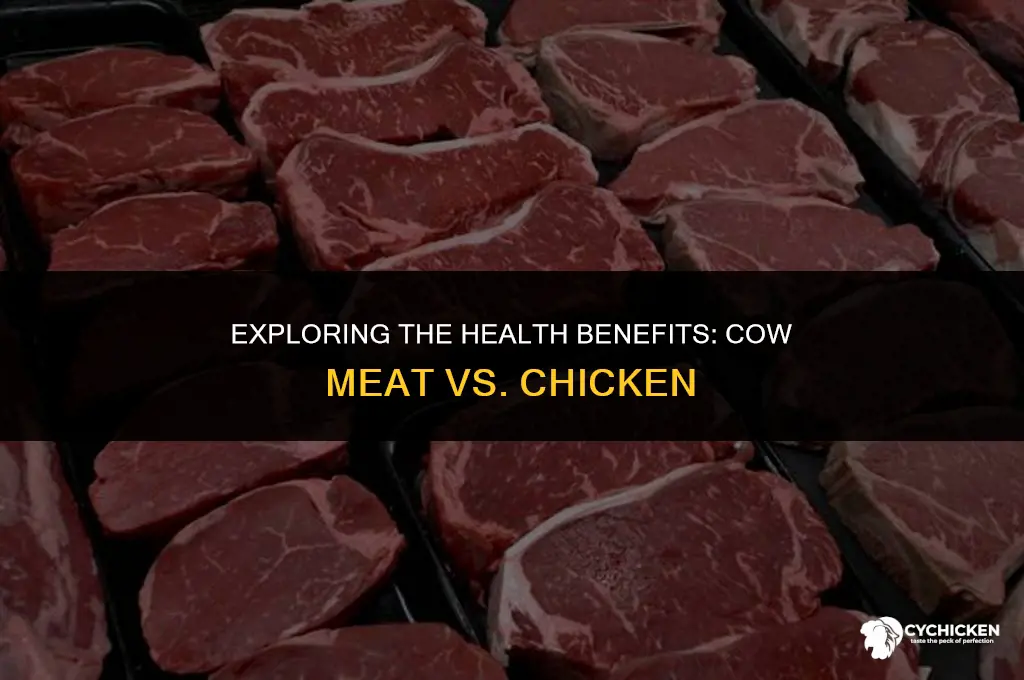 is cow meat healthier than chicken