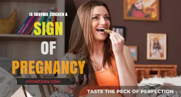 Craving Chicken: A Tasty Clue to Pregnancy or Just a Coincidence?