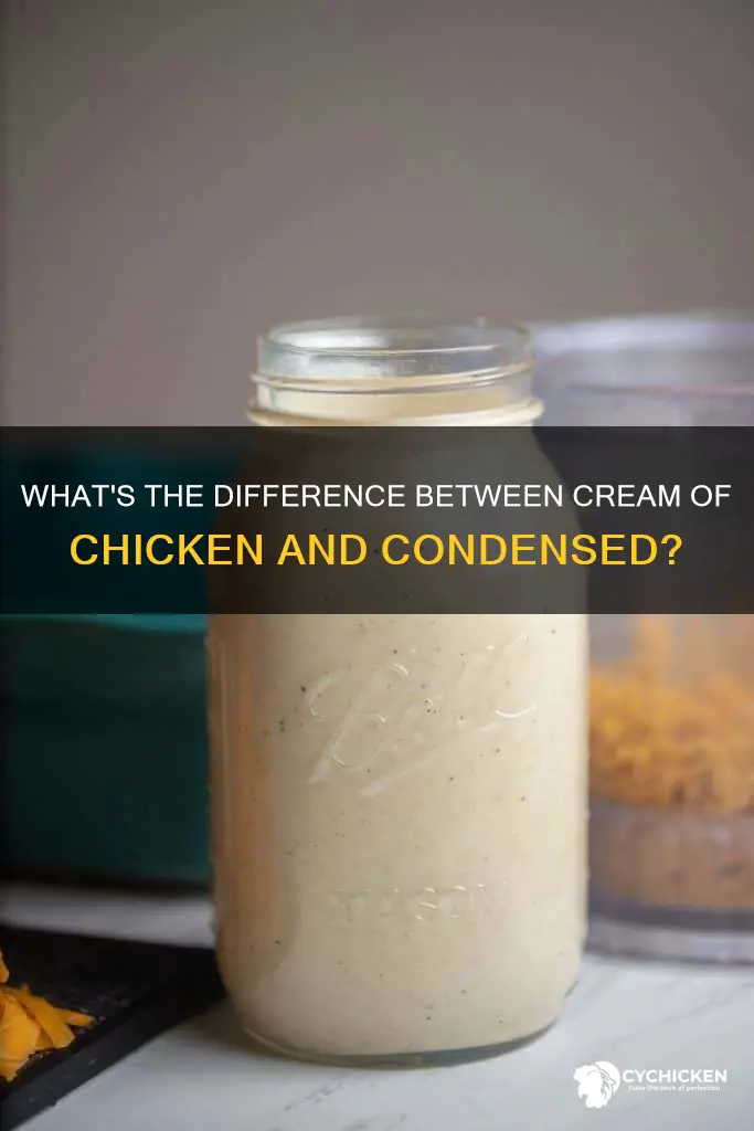 is cream of chicken same as cream of chicken condensed