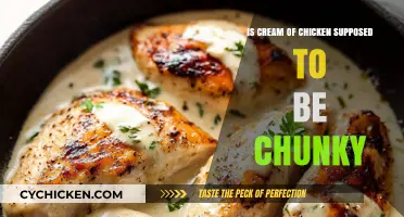 Is Cream of Chicken Supposed to Be Chunky? Texture Explained
