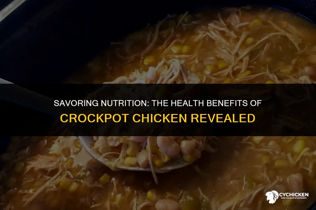 is crockpot chicken healthy