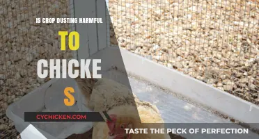Crop Dusting and Chickens: Uncovering Potential Harmful Effects