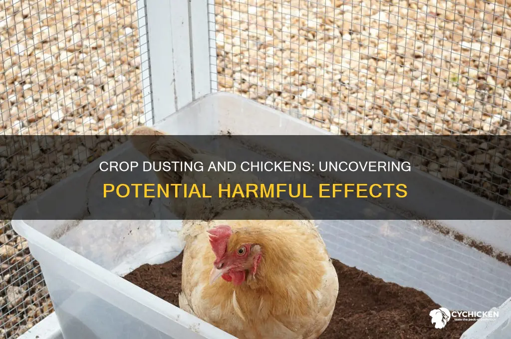 is crop dusting harmful to chicke s
