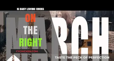 Is Daisy Leaving Chicks on the Right Track? Exploring Her Decision