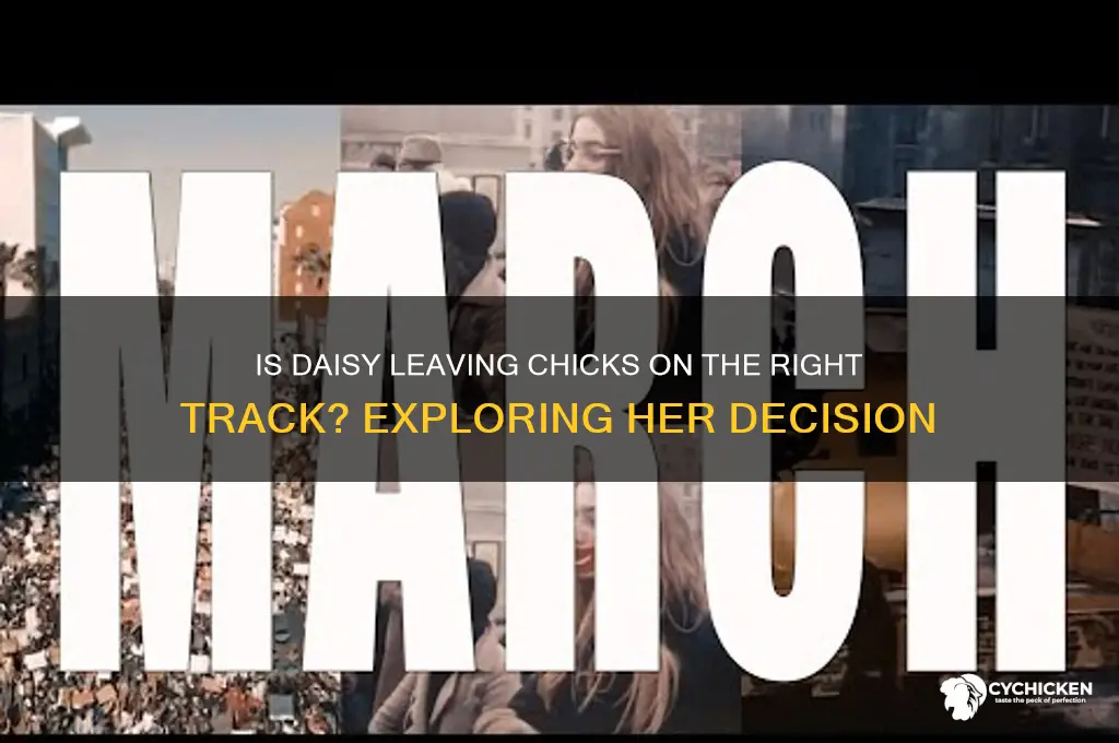 is daisy leaving chicks on the right