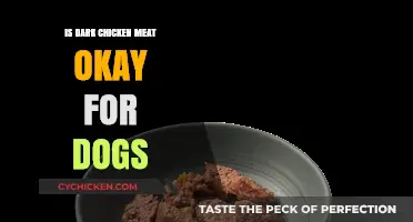 Is Dark Chicken Meat Safe for Dogs? Vet-Approved Facts