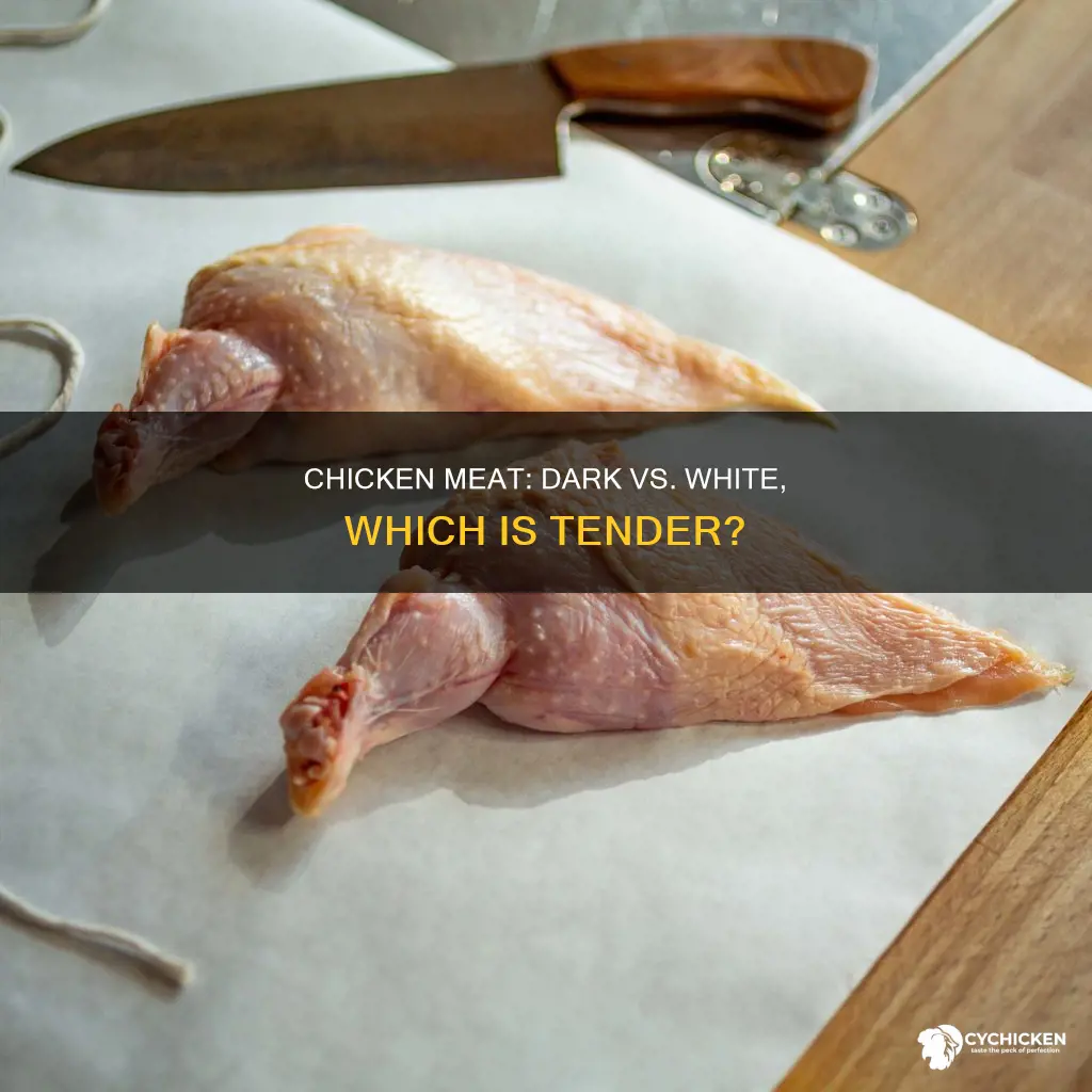 is dark meat chicken or white meat more tender