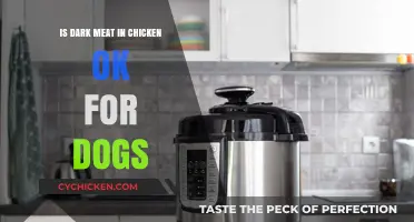 Is Dark Chicken Meat Safe for Dogs? Vet-Approved Facts
