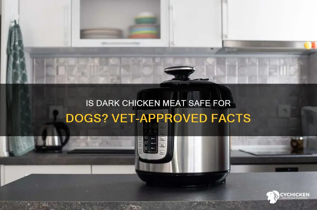 is dark meat in chicken ok for dogs