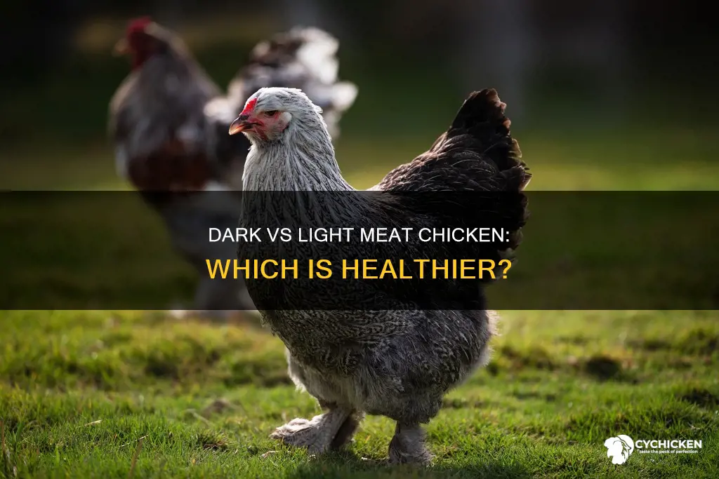 is dark or light meat chicken better for you