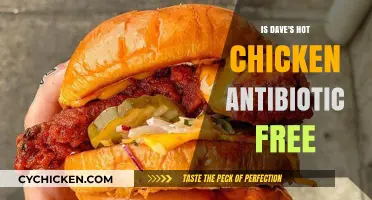 Is Dave's Hot Chicken Antibiotic-Free? Uncovering the Truth