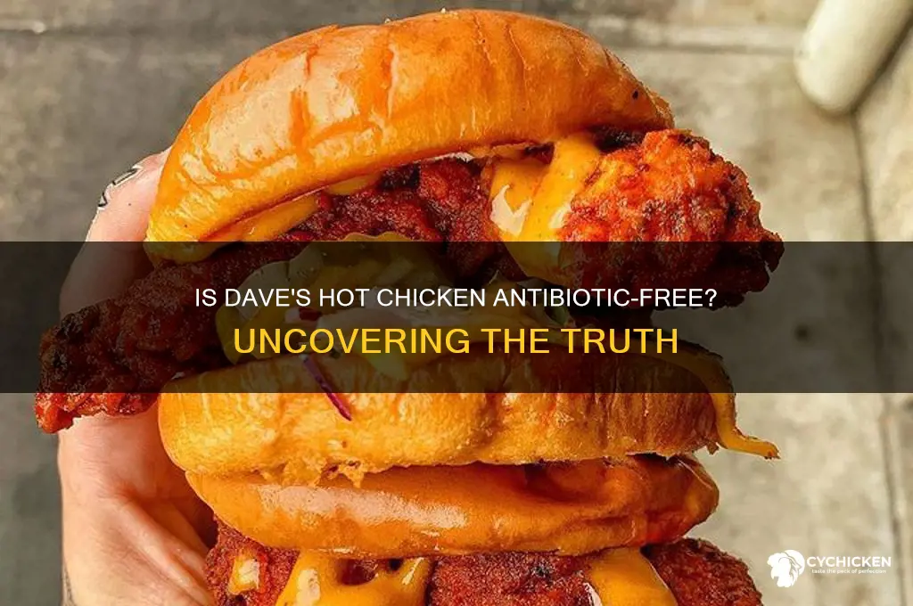 is dave