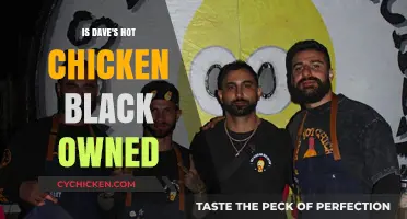 Is Dave's Hot Chicken Black-Owned? Uncovering the Brand's Ownership