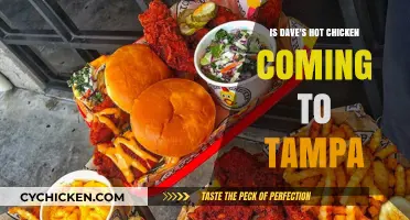 Is Dave's Hot Chicken Expanding to Tampa Soon? What We Know