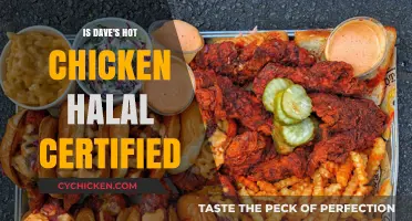 Is Dave's Hot Chicken Halal? Exploring Certification and Ingredients