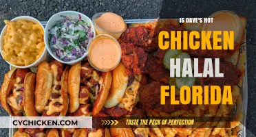 Is Dave's Hot Chicken Halal in Florida? A Detailed Guide