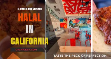 Is Dave's Hot Chicken Halal? Exploring California's Spicy Favorite