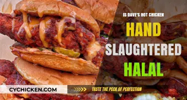 Is Dave's Hot Chicken Hand-Slaughtered and Halal Certified?