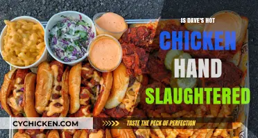 Is Dave's Hot Chicken Hand Slaughtered? Uncovering the Truth