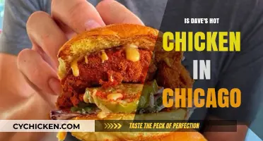Is Dave's Hot Chicken in Chicago? A Spicy Location Guide